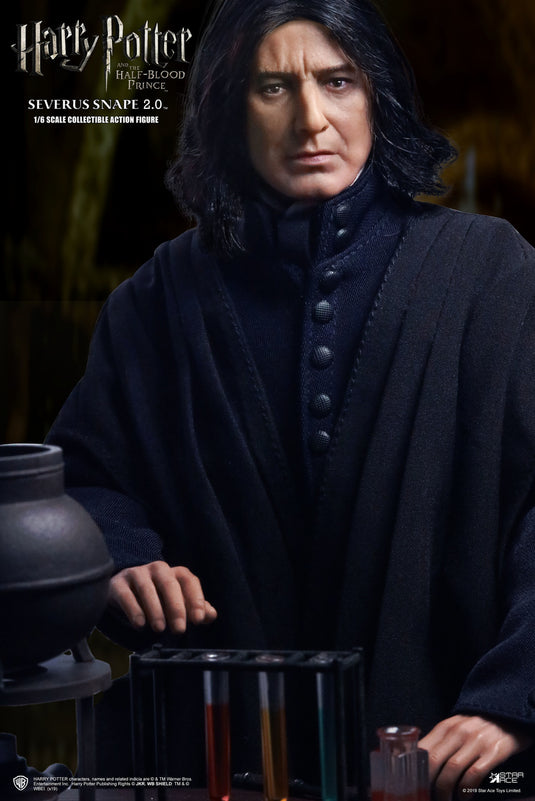 Harry Potter - Severus Snape - Wine Bottle