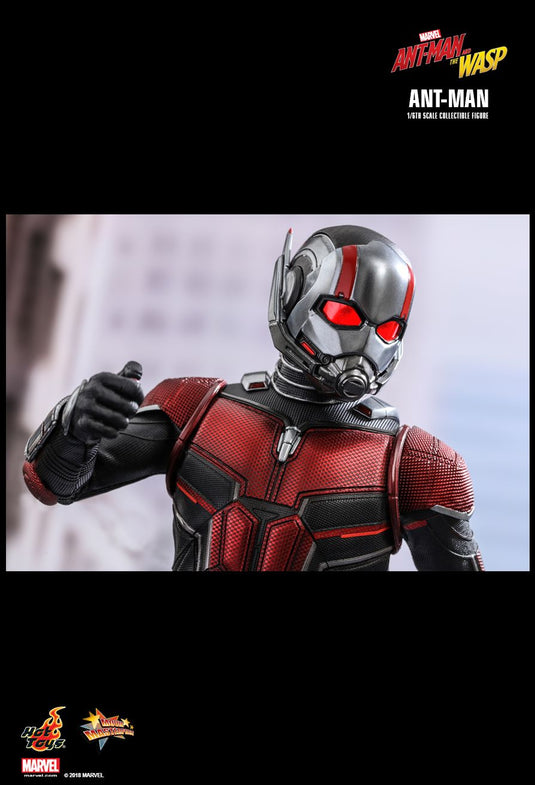 Ant Man & The Wasp Combo Pack - MINT IN BOX