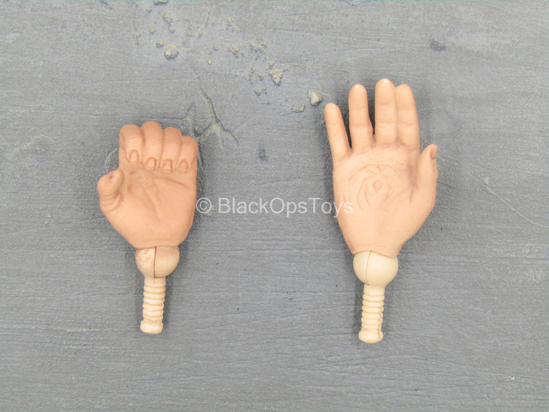 Load image into Gallery viewer, Indiana Jones - Major Toht - Hand Set w/Scarred Right Hand
