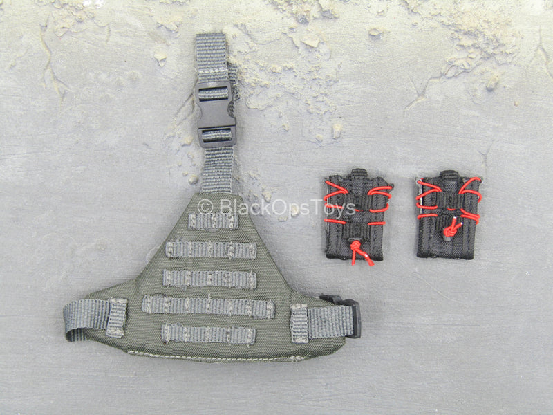 Load image into Gallery viewer, ZERT - Sniper Team - Wolf Grey Drop Leg Platform w/Mag Holsters
