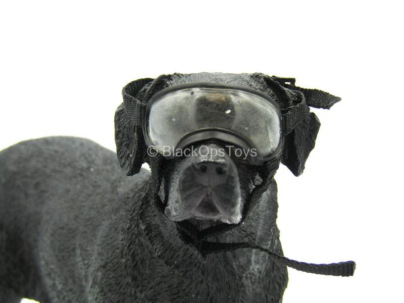 Load image into Gallery viewer, U.S Navy Seal - Black Doggles w/K9 Ear Muffs
