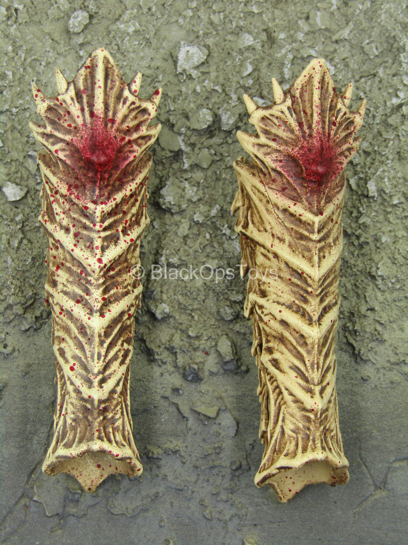 Load image into Gallery viewer, Black Shaman - Female Bloody Bone Shin Guards
