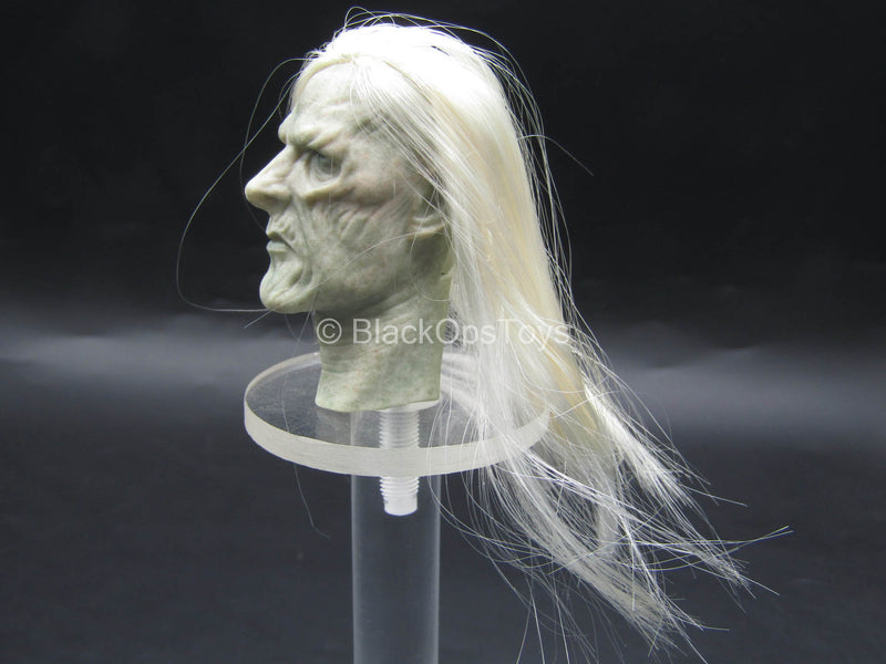 Load image into Gallery viewer, LOTR - Twilight Witch King - Witch-King Head Sculpt
