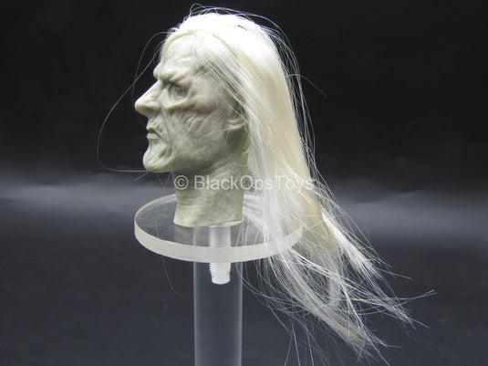 LOTR - Twilight Witch King - Witch-King Head Sculpt