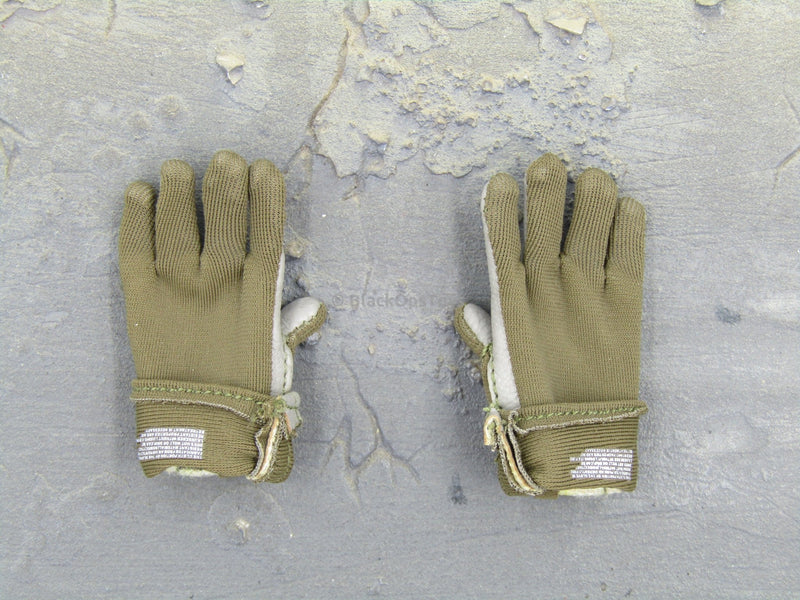 Load image into Gallery viewer, Navy Seal Team 5 VBSS Team Leader Tactical Nomex Flight Gloves
