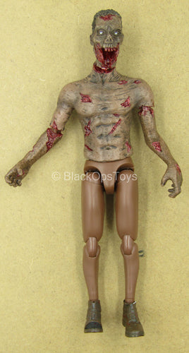 1/12 - Zombie - AA Male Zombie Body w/Head Sculpt Type 2