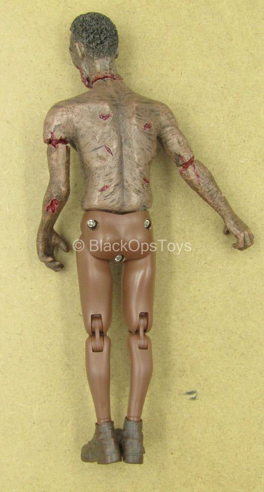 1/12 - Zombie - AA Male Zombie Body w/Head Sculpt Type 2