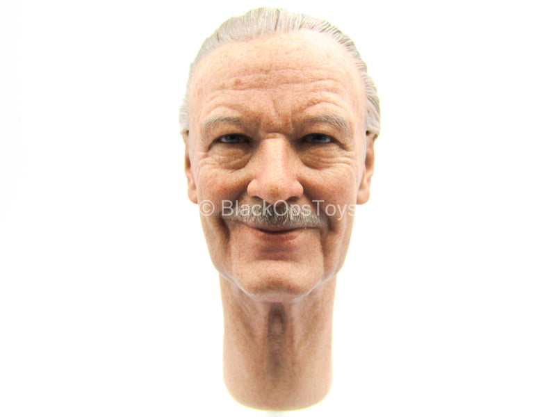 Load image into Gallery viewer, Thor Ragnarok - Intergalactic Barber - Male Head Sculpt
