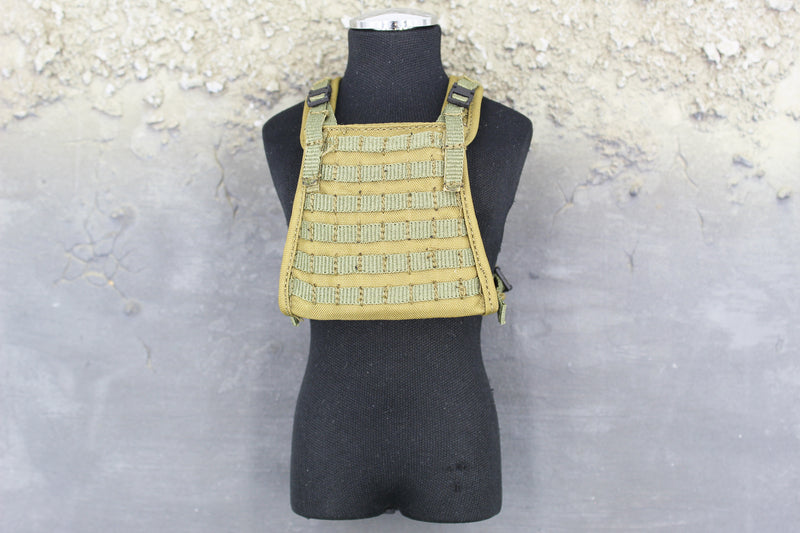 Load image into Gallery viewer, Marc A. Lee - Seal Team 3 - Tan MOLLE Plate Carrier Vest
