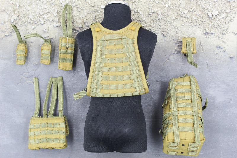 Load image into Gallery viewer, Marc A. Lee - Seal Team 3 - Tan MOLLE Plate Carrier &amp; Pouch Set
