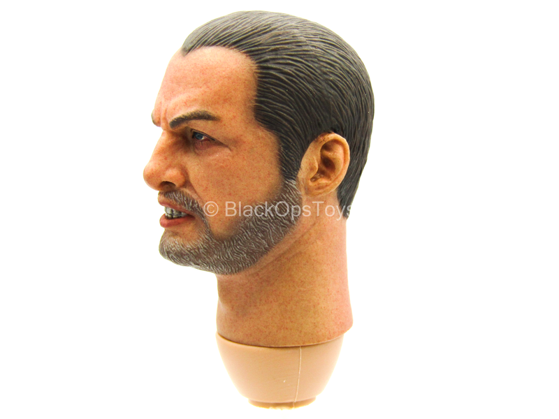 Load image into Gallery viewer, Crusader Knights - Male Head Sculpt (Type 1)
