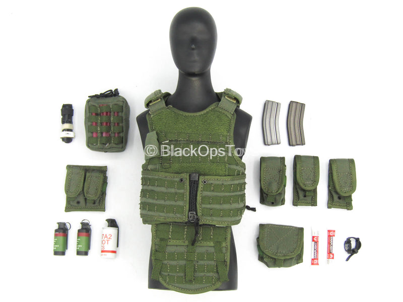 Load image into Gallery viewer, SFOD-D Team Leader - Green MOLLE Plate Carrier Vest w/Pouch Set
