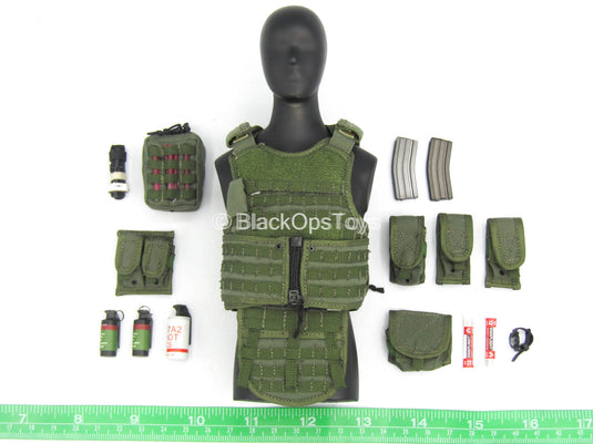 SFOD-D Team Leader - Green MOLLE Plate Carrier Vest w/Pouch Set