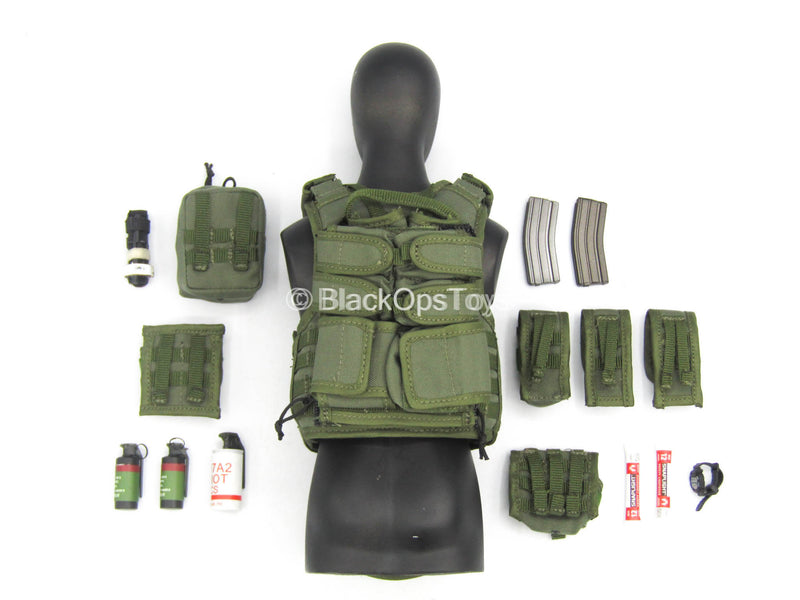 Load image into Gallery viewer, SFOD-D Team Leader - Green MOLLE Plate Carrier Vest w/Pouch Set
