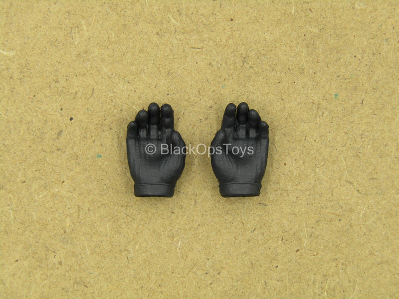 Load image into Gallery viewer, 1/12 - WWII German - Black Gloved Hand Set
