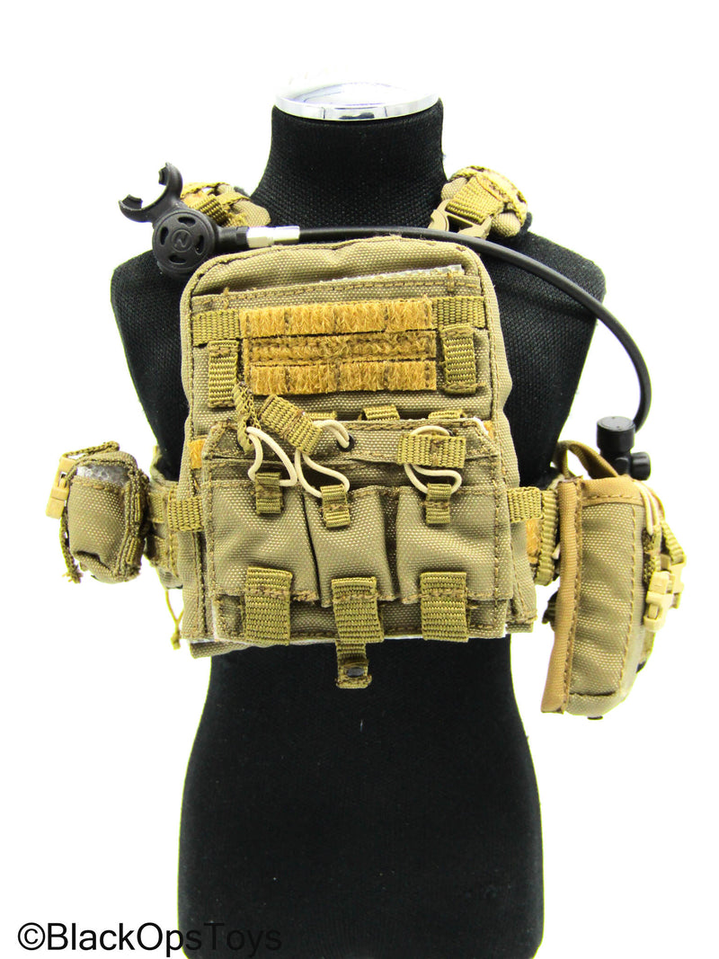 Load image into Gallery viewer, 31st Marine Expeditionary Unit - Tan MOLLE Assault Vest Set
