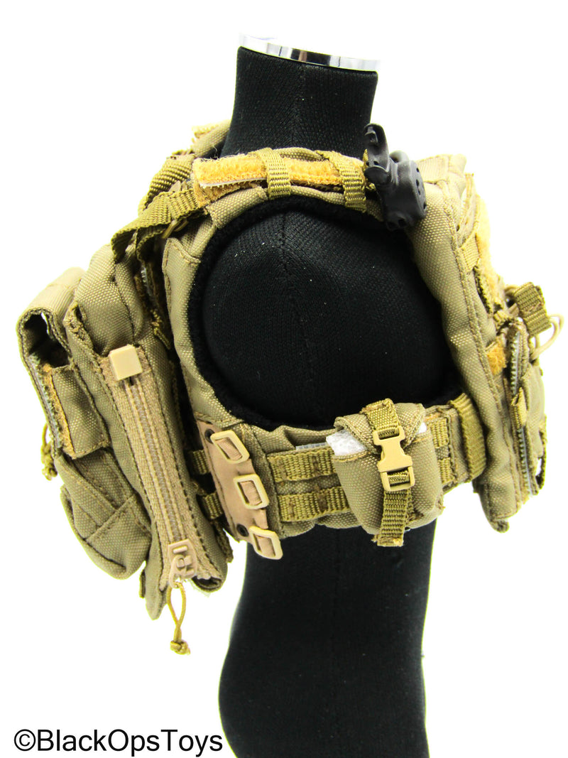 Load image into Gallery viewer, 31st Marine Expeditionary Unit - Tan MOLLE Assault Vest Set
