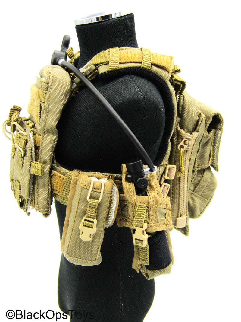 Load image into Gallery viewer, 31st Marine Expeditionary Unit - Tan MOLLE Assault Vest Set
