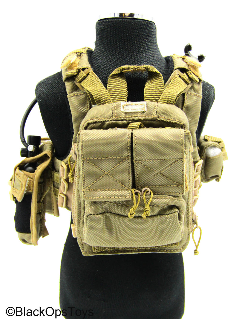 Load image into Gallery viewer, 31st Marine Expeditionary Unit - Tan MOLLE Assault Vest Set
