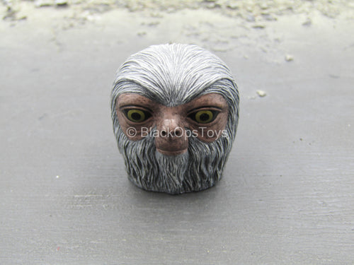 Fantastic Beast - Newt - Peeking Demiguise Head