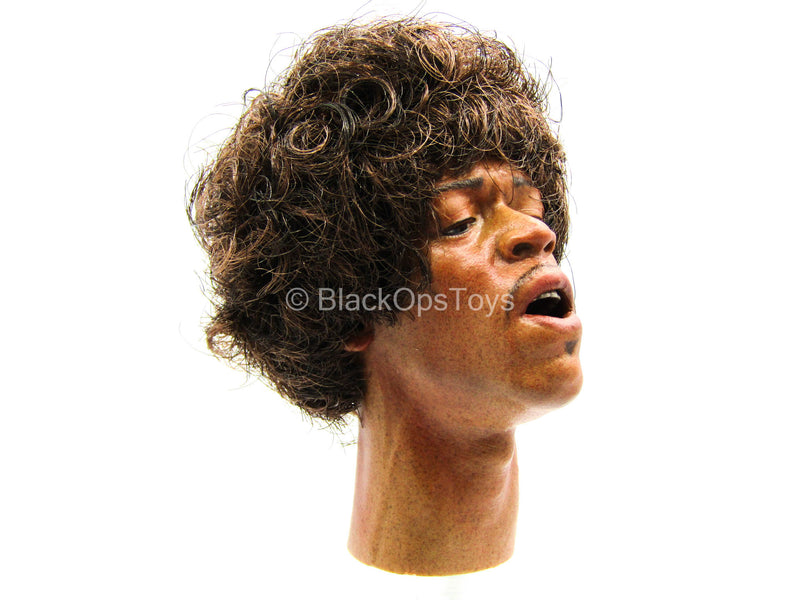 Load image into Gallery viewer, Jimi Hendrix - Male Head Sculpt
