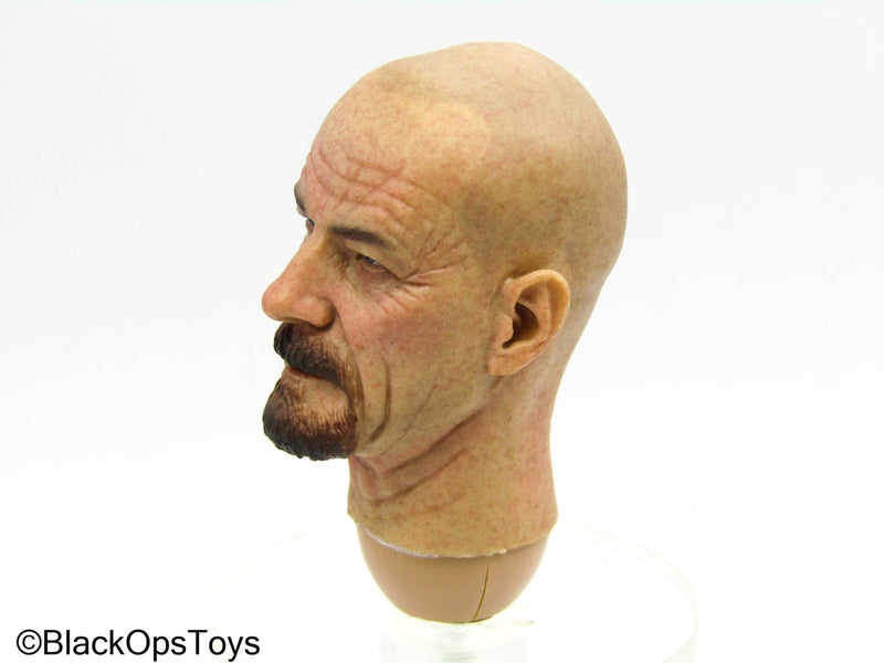 Load image into Gallery viewer, Breaking Bad - Poison Makers - Male Head Sculpt w/Beard
