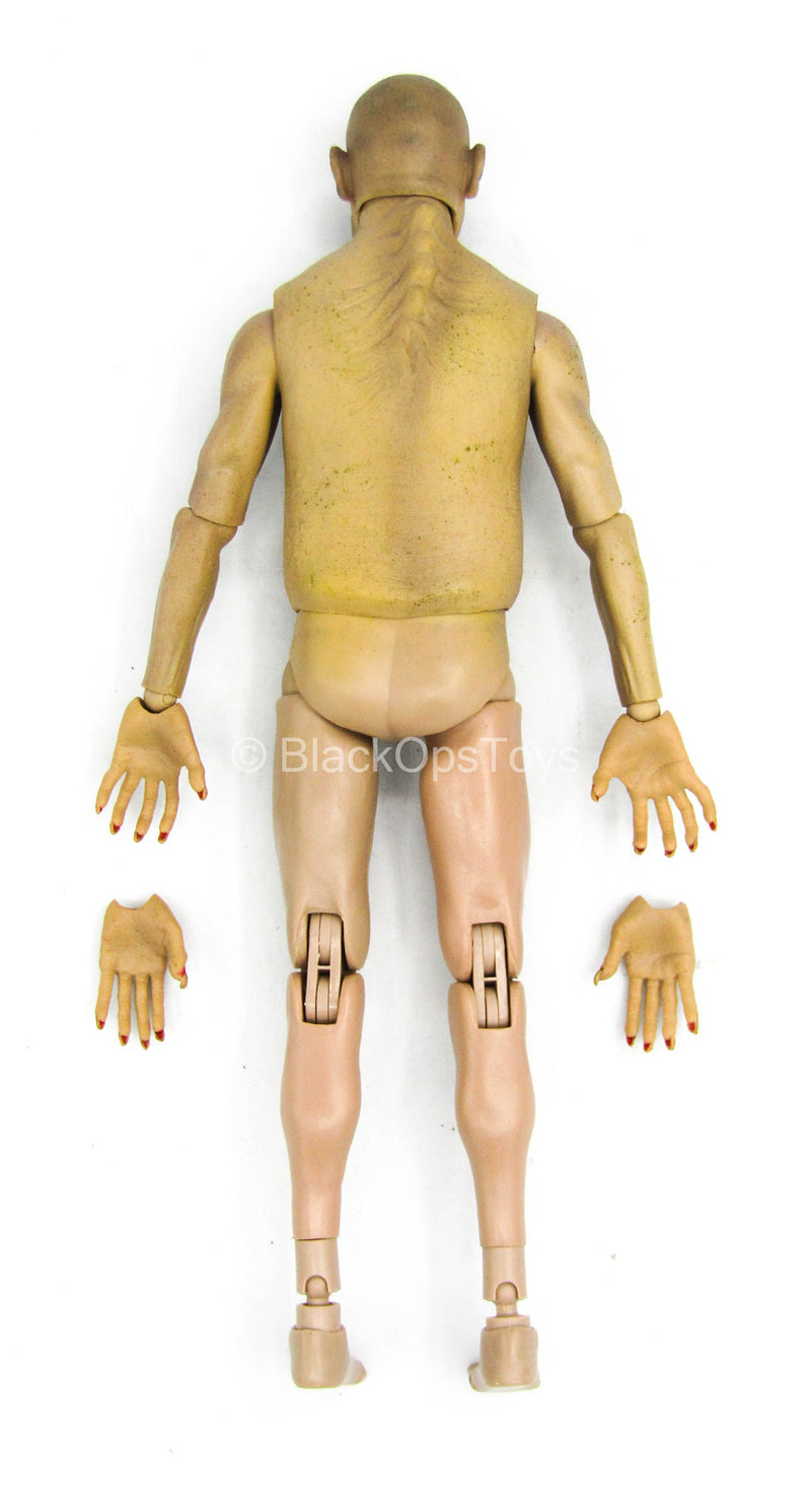 1/12 - Zombie - Male Zombie Body w/Head Sculpt Type 1 – BlackOpsToys