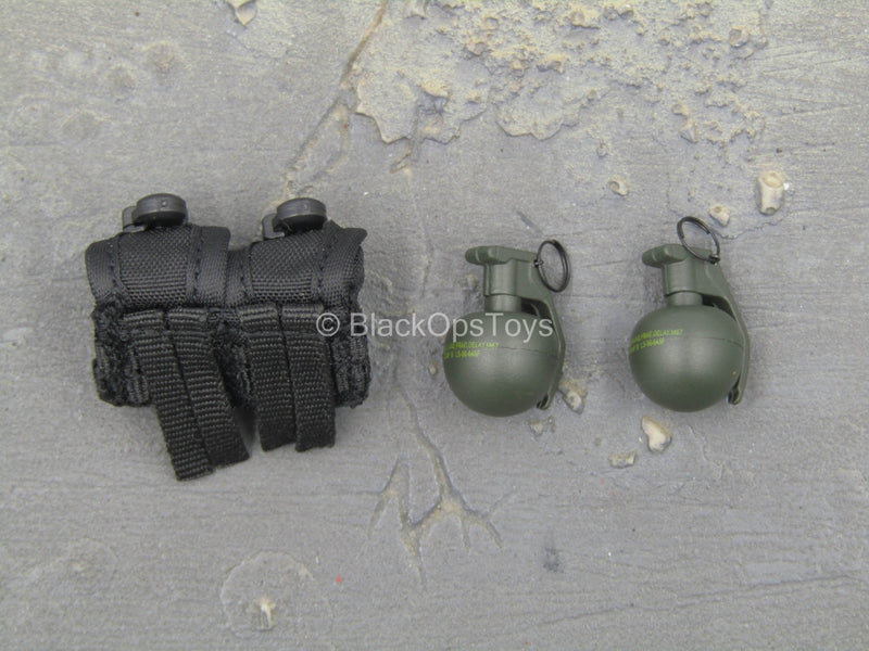 Load image into Gallery viewer, French GIPN Police - Frag Grenade (x2) w/MOLLE Dual Cell Pouch
