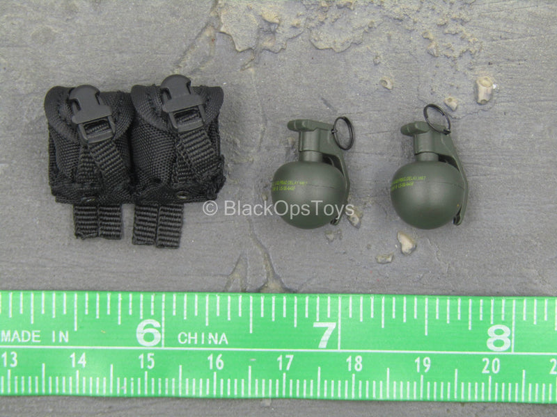 Load image into Gallery viewer, French GIPN Police - Frag Grenade (x2) w/MOLLE Dual Cell Pouch
