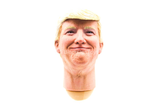 2020 - President Donald Trump - Male Head Sculpt w/Molded Hair