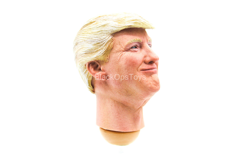 Load image into Gallery viewer, 2020 - President Donald Trump - Male Head Sculpt w/Molded Hair
