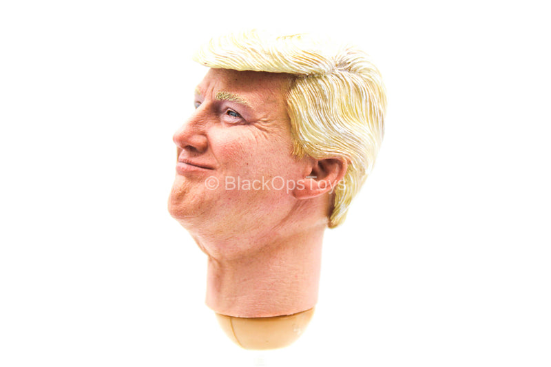 Load image into Gallery viewer, 2020 - President Donald Trump - Male Head Sculpt w/Molded Hair
