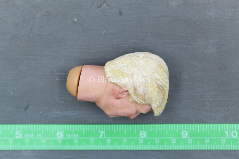 Load image into Gallery viewer, 2020 - President Donald Trump - Male Head Sculpt w/Molded Hair
