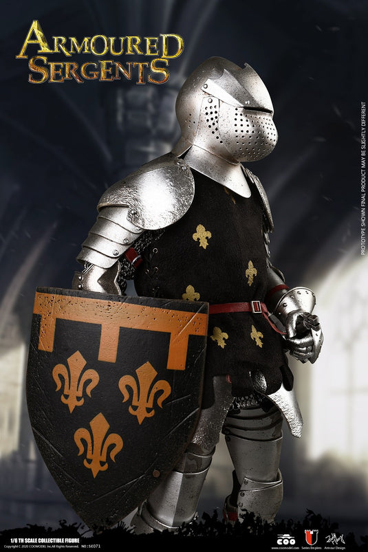 Armored Sergeants Display - Alloy Chainmail