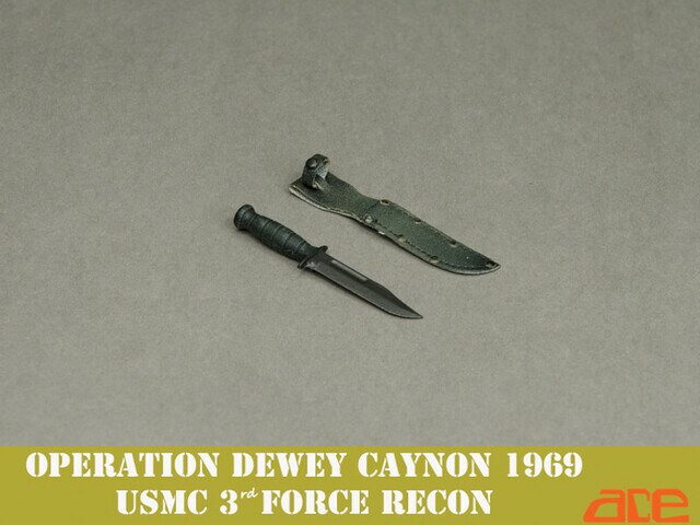 Load image into Gallery viewer, Vietnam 1969 - Op. Dewey Canyon 3rd Force Recon - MINT IN BOX
