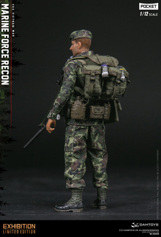 ミリタリー1/12 damtoys アメリカ海軍 フォース リーコン in ベトナム